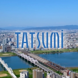 辰巳ホールディングス株式会社